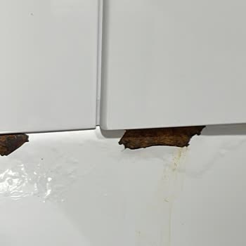 Arçelik Çamaşır Makinesi: Sürekli Sorun ve Yetersiz Servis Hizmeti