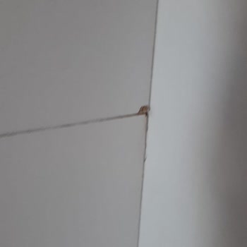 Setay Mobilya Pişmanlıktır Ve Çalışanları Saygısız