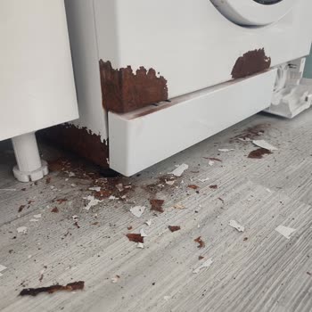 Arçelik Çamaşır Makinesi Boya ve Küflenme Sorunu