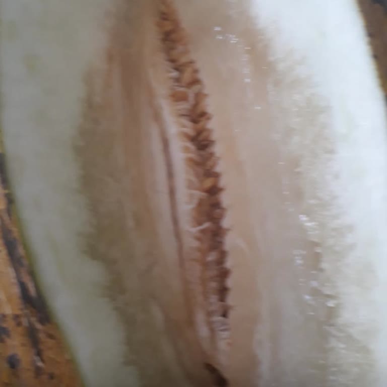 Migros Bozuk Kavunlar Satıyor