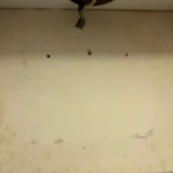 Tehlikeli Montaj Hatası: Arçelik Davlumbaz Kazası