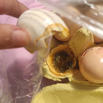 A101 Salihleraltı/Eğitimciler Şubesi Bozuk Gıda Satıyor.