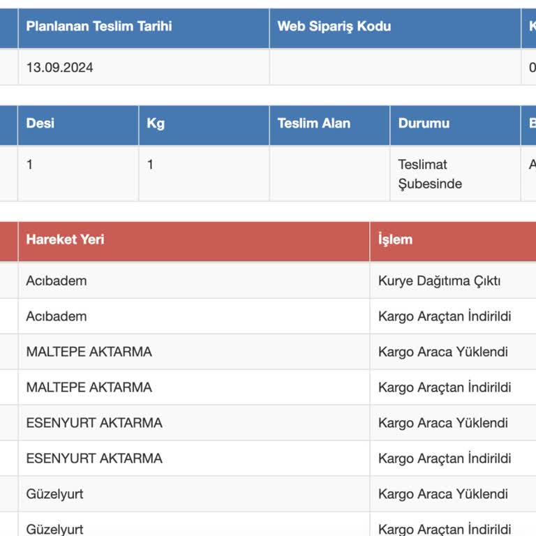 Sürat Kargo Acıbadem Şubesine Ulaşamamak