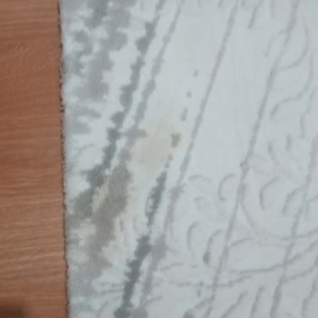 Esila Halı ve Koltuk Yıkama Müşteri İşe Düzgün Konuşmama