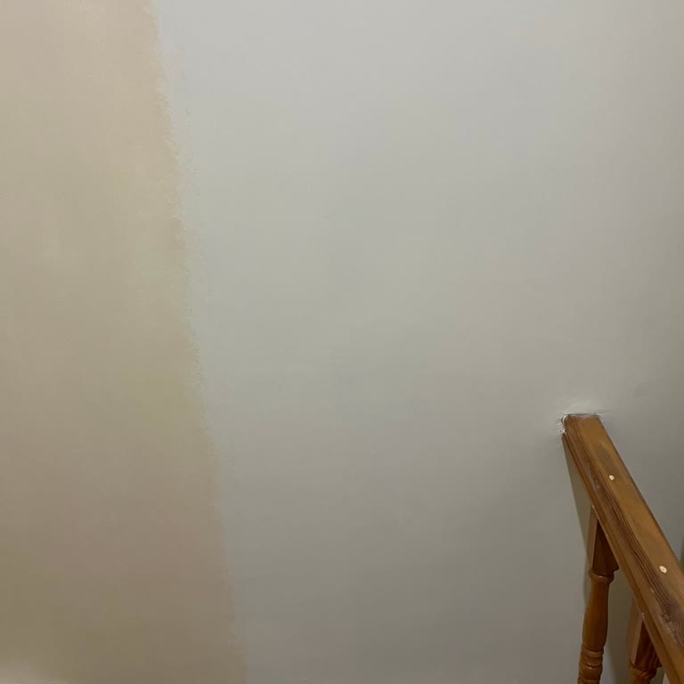 Marshall Boya Yanlış Renk Verildi.