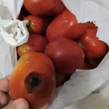 A101 Aldığım Ürünler Bozuk Geldi