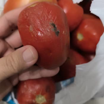 A101 Aldığım Ürünler Bozuk Geldi