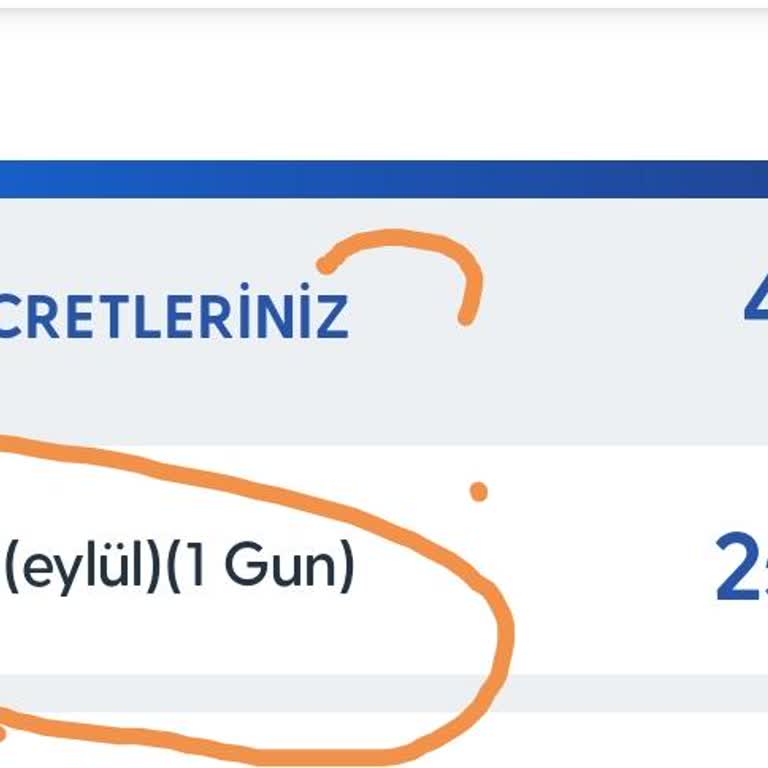 Faturama Eklenen 250 TL'lik Gizemli Ücret