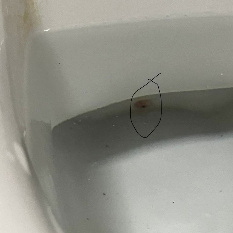 Vitra Mağduriyeti Ve Satış Sonrası Destek