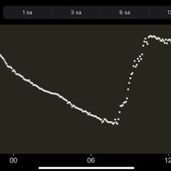 Dexcom G7 Tamamen Yanlış Değerler Verimsiz