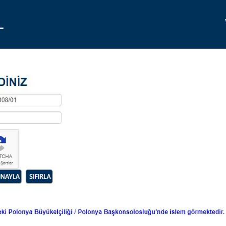 VFS Global VFS Polonya Vize İşlemi