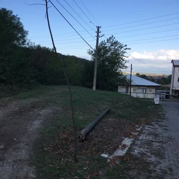 Türk Telekom İlgisizliği Ve Sorumsuzluğu