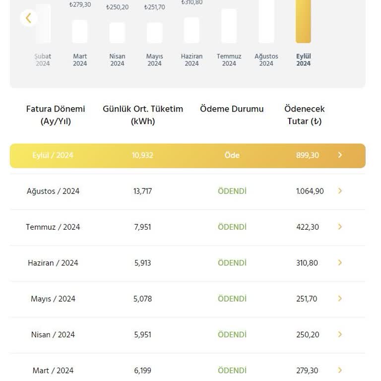 Enerjisa İstanbul Anadolu Yakası Elektrik Perakende Değişiklik Olmamasına Rağmen 2 Aydır 2 Kat Artan Elektrik Faturası