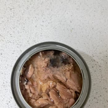 Dardanel Son Kullanma Tarihi Geçmemiş Ton Balığı Bozuk Çıktı