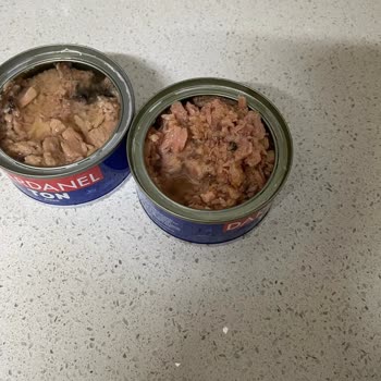 Dardanel Son Kullanma Tarihi Geçmemiş Ton Balığı Bozuk Çıktı