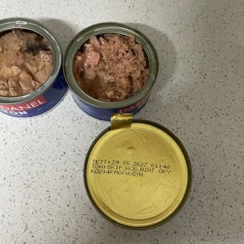 Dardanel Son Kullanma Tarihi Geçmemiş Ton Balığı Bozuk Çıktı