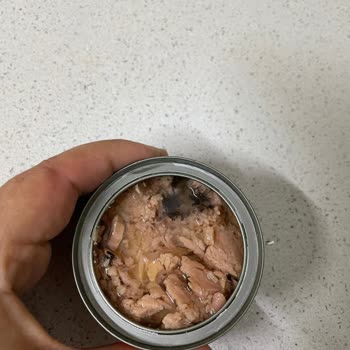 Dardanel Son Kullanma Tarihi Geçmemiş Ton Balığı Bozuk Çıktı