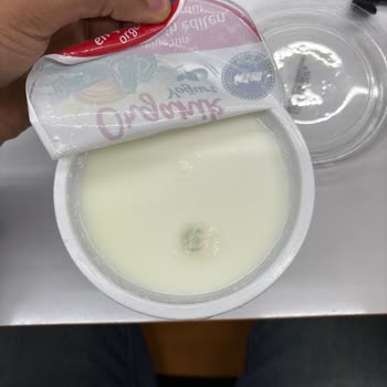 Pınar Et ve Süt Taze Alınan Yoğurtta Küf Sorunu