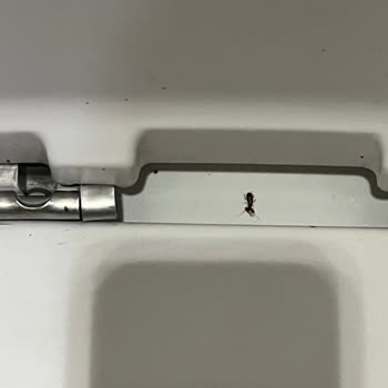 Cevahir AVM Tuvalet Temizliği Hakkında Büyük Eksiklikler