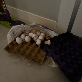 Getir Yumurta Kırık Geldi.