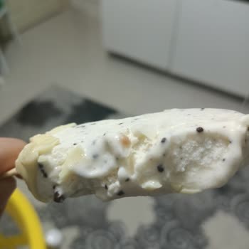 Magnum Dondurmada Kurt Çıktı