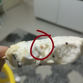 Magnum Dondurmada Kurt Çıktı