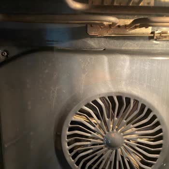 Domol Fırın Temizleyici Fırınımı Mahvetti