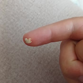 Kellogg's Kırmızı Meyveli Tam Buğday Ve Pirinç Gevreği