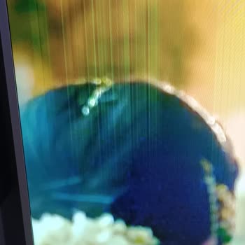 Onvo Ekran Hatası Ve Servis İlgisizliği