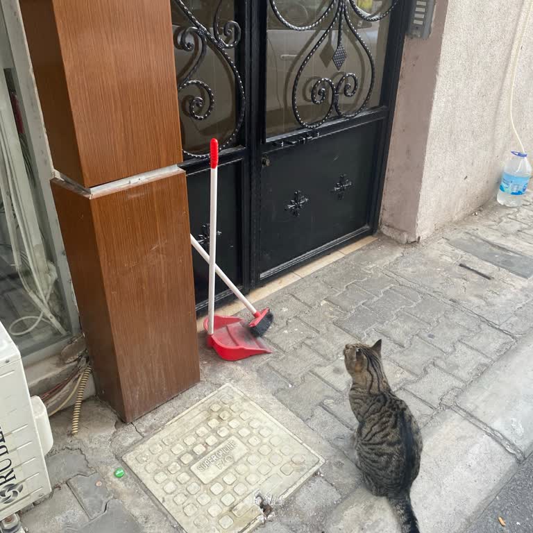 Turkcell Superonline Bağlantı Mağduriyeti