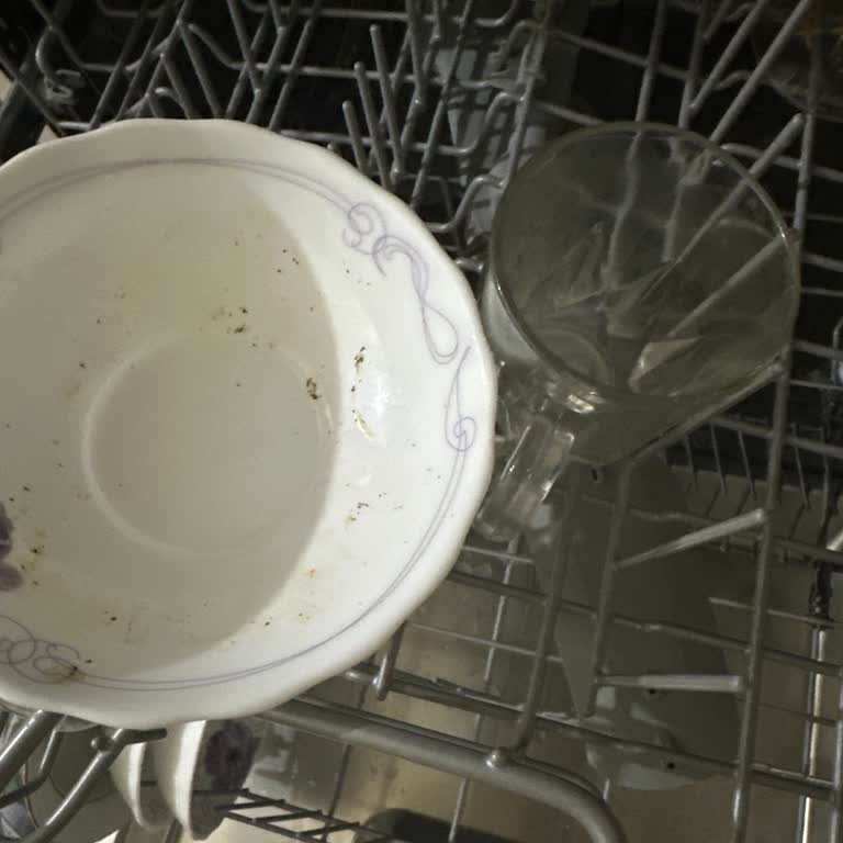 Altus Bulaşık Makinesi Temiz Yıkamıyor Leke Koku Bırakıyor