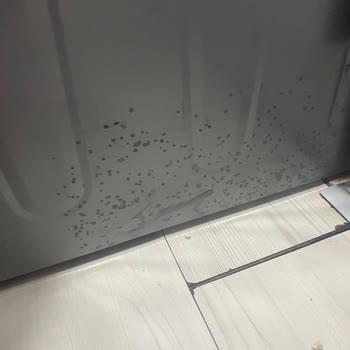 Arçelik Ürünlerinde Sürekli Yaşanan Sorunlar Ve Müşteri Hizmetleri Hayal Kırıklığı