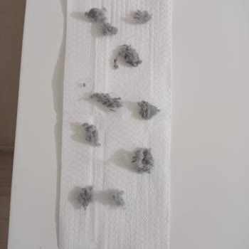 Sürekli Arızalanan Robot Süpürge ve Çözüm Bulamayan Servis