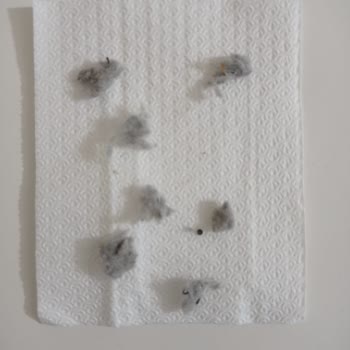 Sürekli Arızalanan Robot Süpürge ve Çözüm Bulamayan Servis