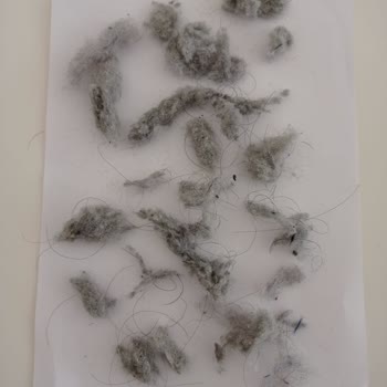 Sürekli Arızalanan Robot Süpürge ve Çözüm Bulamayan Servis