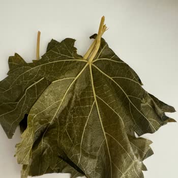 Bambaskayaprak.erbaa (Instagram) Kusurlu Ürün Satıyor!