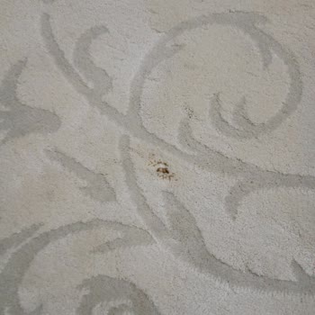 İmren Halı Yıkama (Konya) Loras Ve Sencer Halı Yıkama Halıları Mahvetti
