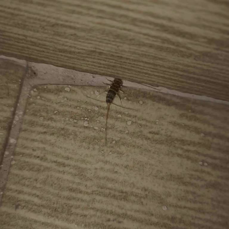 Grand Özalp Airport Otel Pişmanlıktır