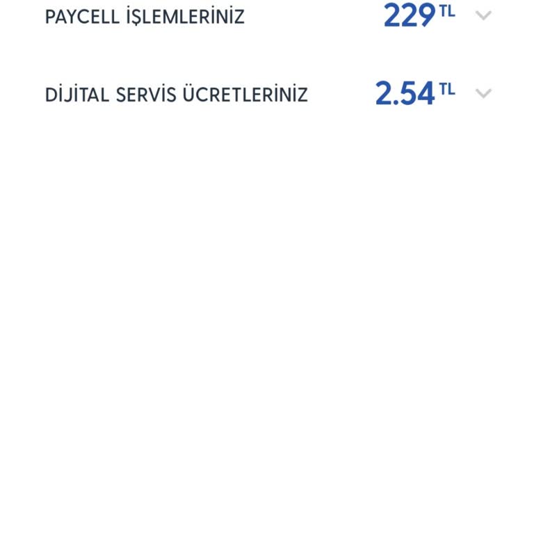 Yanlışlıkla Yapılan Ödeme ve İade Sorunu