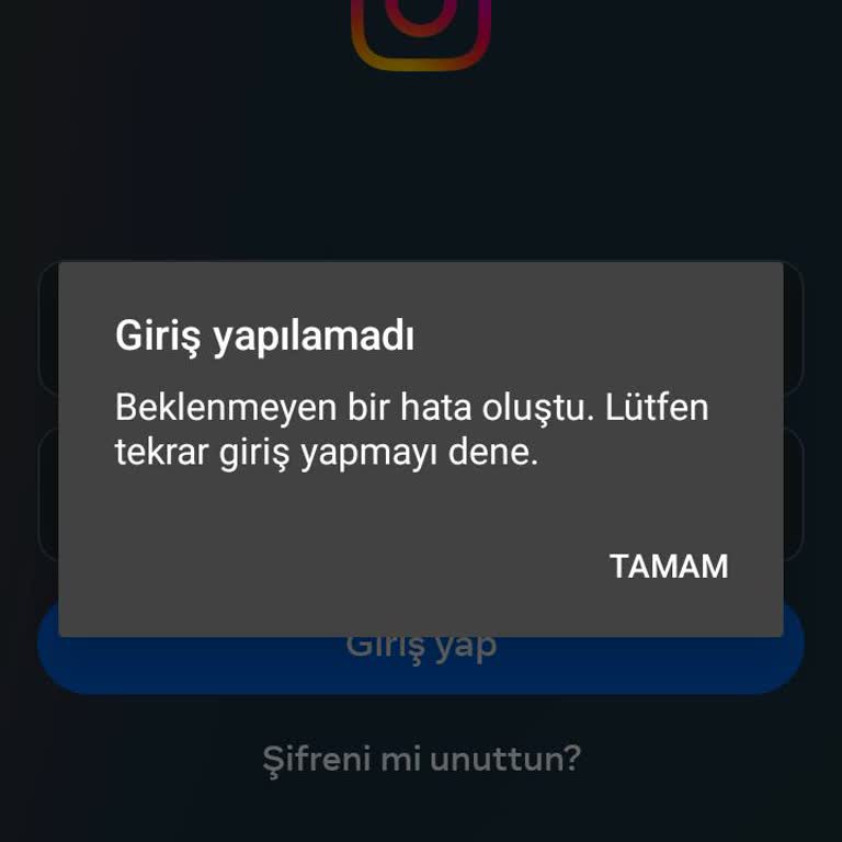 Instagram Hesabıma Giremiyorum
