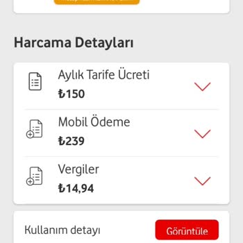 Vizyon Elektronik Para Vizyon As Tarafından Haksızca Alınan Paramın İadesini İstiyorum