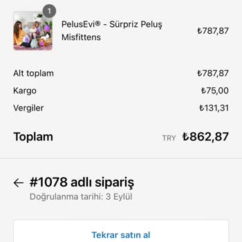 Peluş Evim Peluş Evi İnsanların Kandırılması