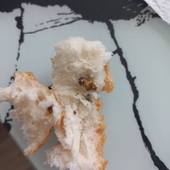 Güneli Pastanesi Güneli Fırın Ekm