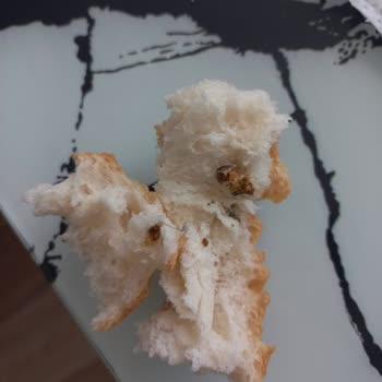 Güneli Pastanesi Güneli Fırın Ekm