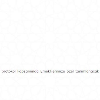 T. C. Cumhurbaşkanlığı Emekliler Yılı Kapmasındaki Firmaların Vaatlerini Yerine Getirmemesi