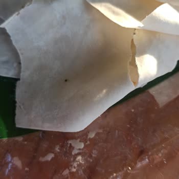 BİM'den Alınan Yufkada Küf Çıktı