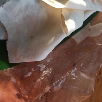 BİM'den Alınan Yufkada Küf Çıktı