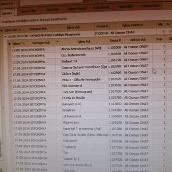 Gisbir Hastanesi Tuzla'daki Hastanede Doktor Deneyimi