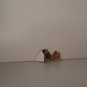 Özkanlar Mobilya Kalitesizliği Ve Müşteri Memnuniyetsizliği