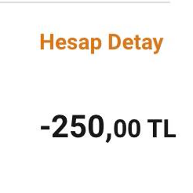 BUDO Para Alındı Bilet Yok